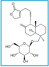 Andrographolide Glucoside